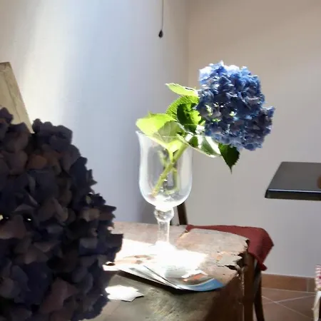 Lilli Beta Bella Neive