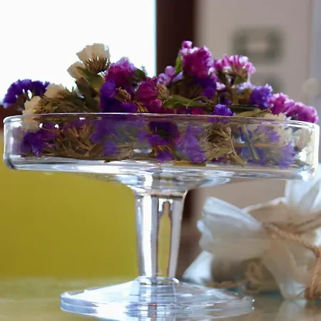 Lilli Beta Bella Couette-café Neive