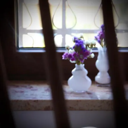 Couette-café Lilli Beta Bella