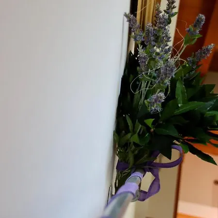 Lilli Beta Bella Bed and breakfast Neive
